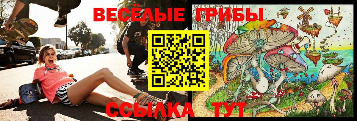 Галлюциногенные грибы ЛСД Звенигород