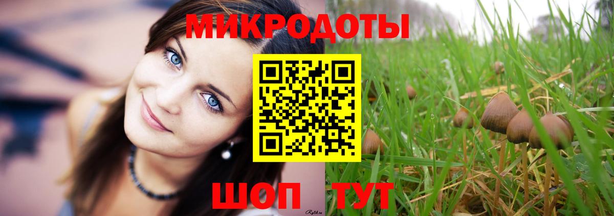 Псилоцибиновые грибы Cubensis  Вход с VPN  Звенигород 